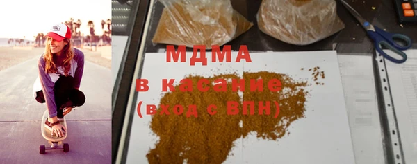 индика Каменка